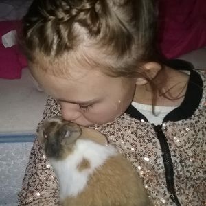 Meet your Posher, Shealey